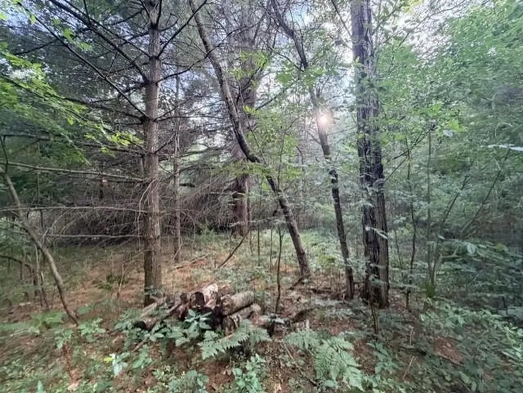 00 Timreck Road Tawas Township MI 48763