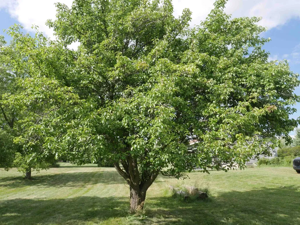 2515 Shady Shores Road Hill Township MI 48661