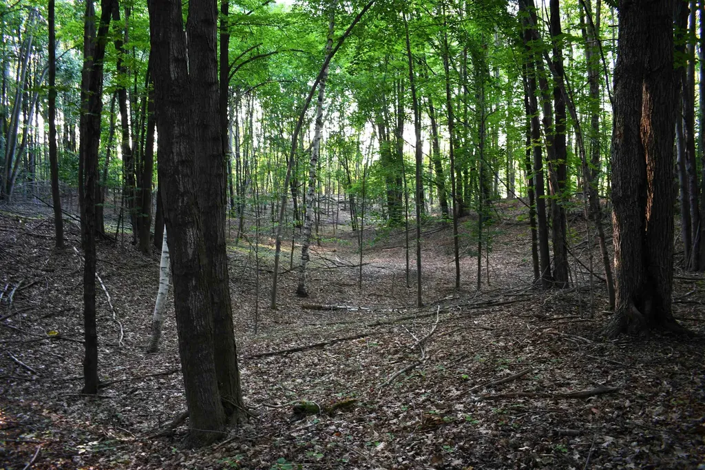 0 E Ritchie Road Hawes Township MI 48742