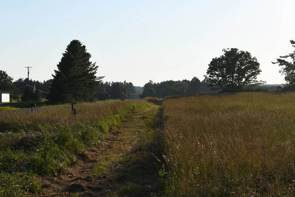0 E Ritchie Road Hawes Township MI 48742