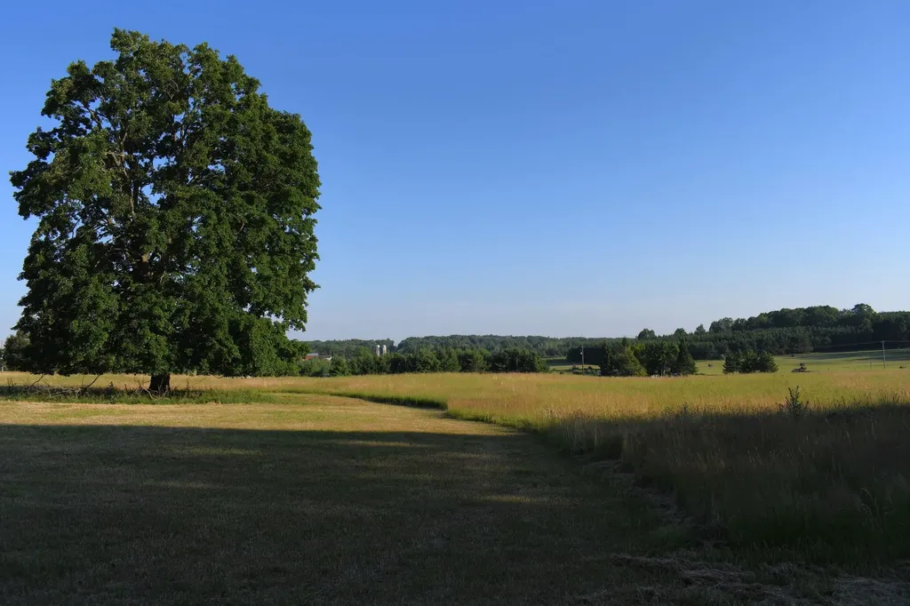 0 E Ritchie Road Hawes Township MI 48742