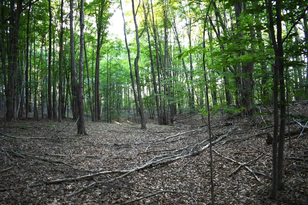 0 E Ritchie Road Hawes Township MI 48742