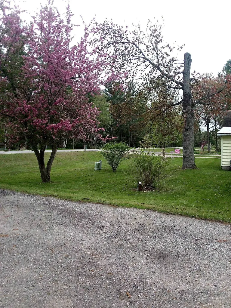514 W M-55 Tawas Township MI 48763