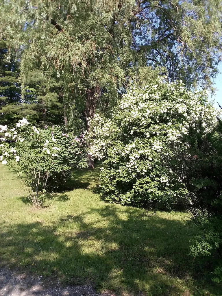 514 W M-55 Tawas Township MI 48763