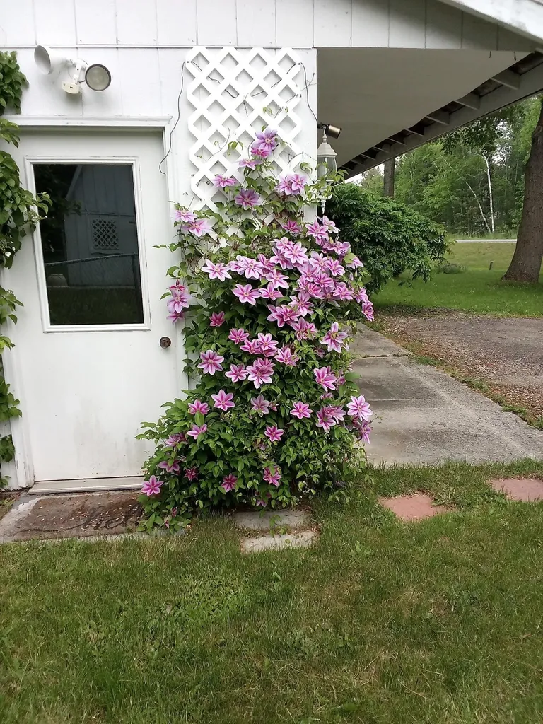 514 W M-55 Tawas Township MI 48763