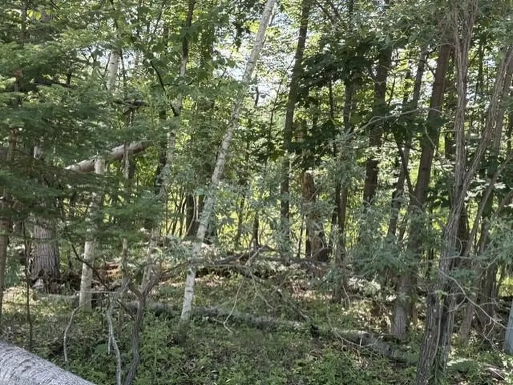 61 Rolling Hills Drive West Branch Township MI 48661