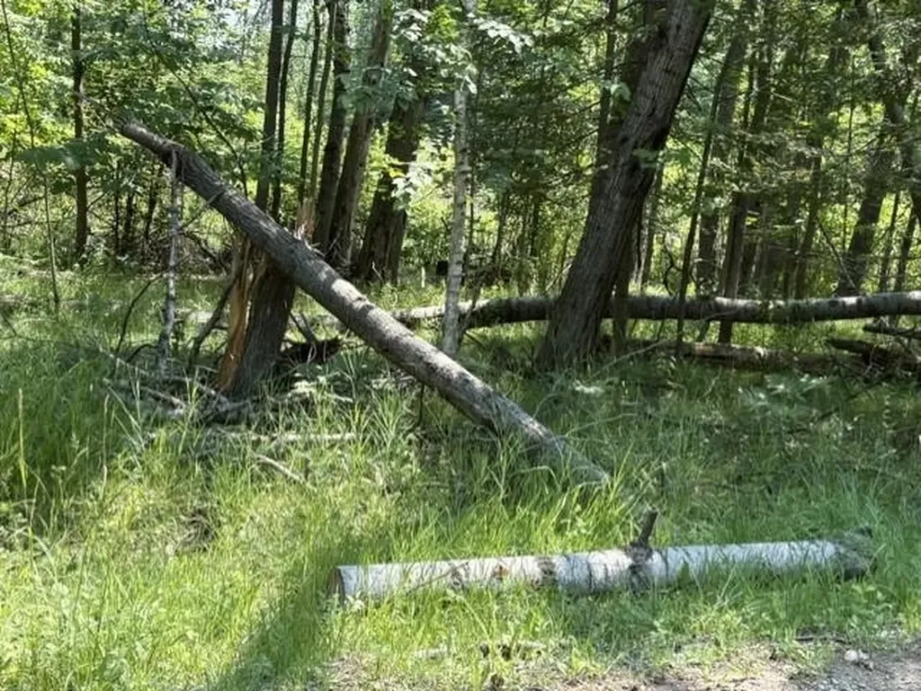 61 Rolling Hills Drive West Branch Township MI 48661