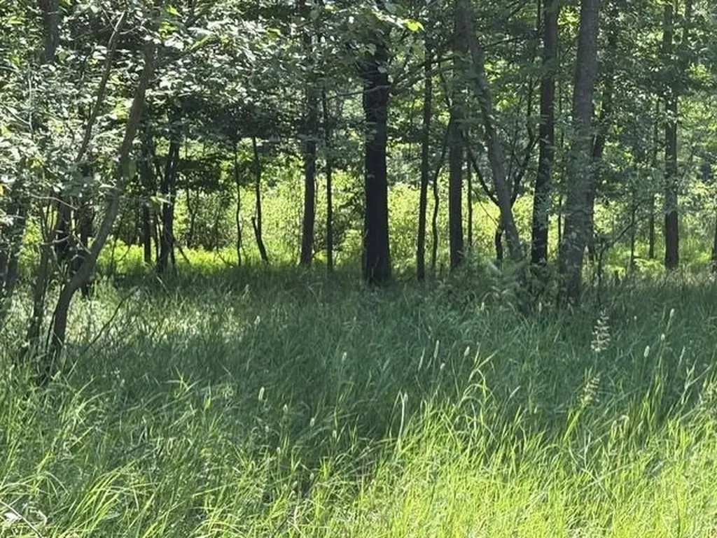 61 Rolling Hills Drive West Branch Township MI 48661