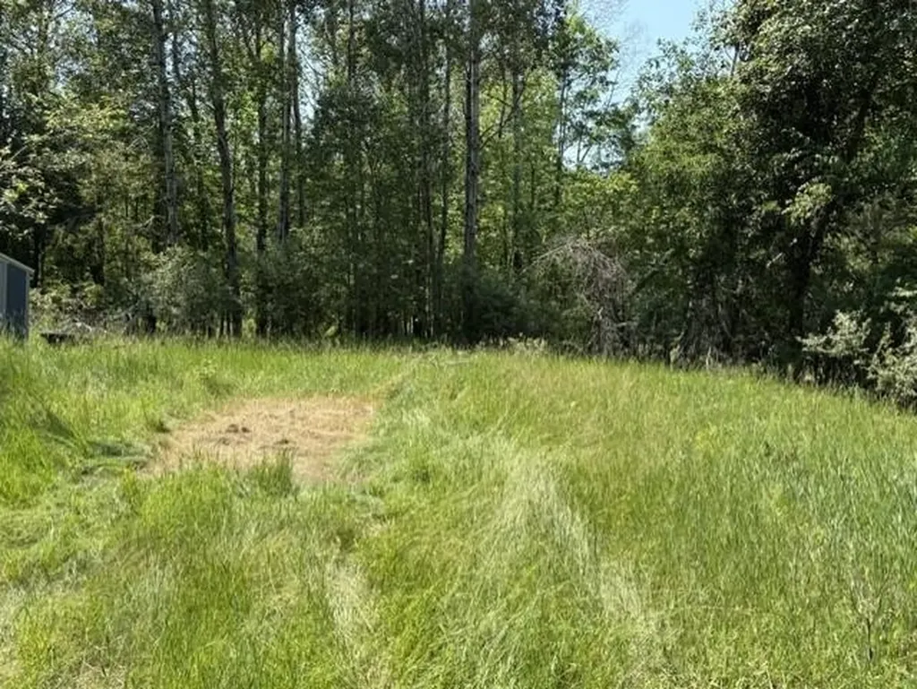61 Rolling Hills Drive West Branch Township MI 48661