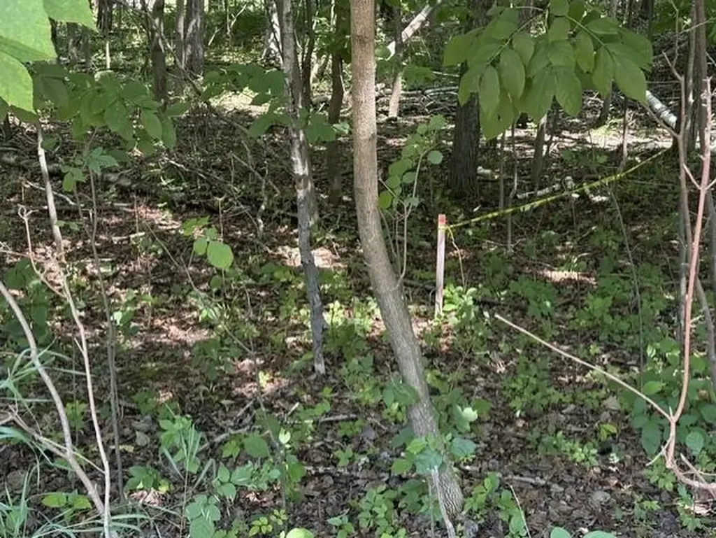 61 Rolling Hills Drive West Branch Township MI 48661
