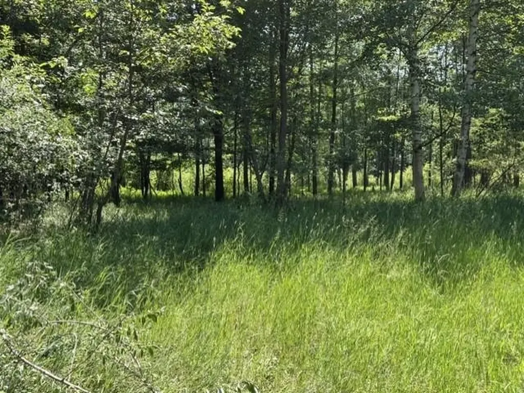 61 Rolling Hills Drive West Branch Township MI 48661