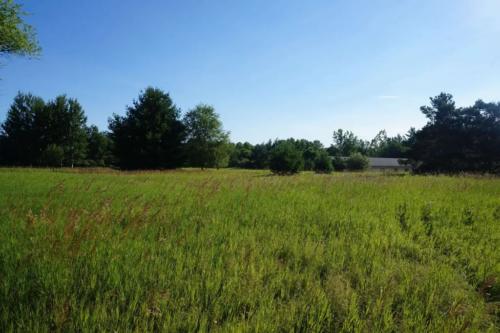 00 Tawas Road Reno Township MI 48770