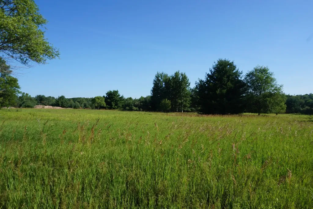 00 Tawas Road Reno Township MI 48770