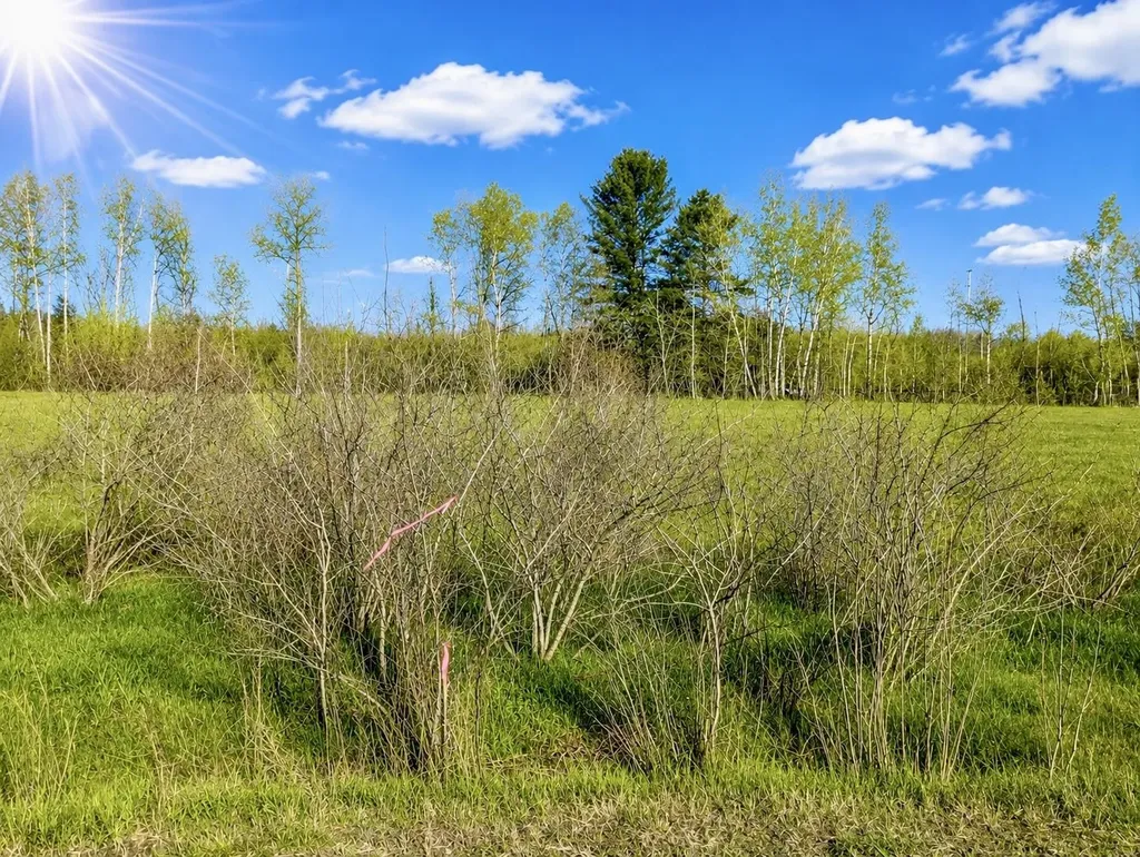 N/a National City Road Sherman Township MI 48478