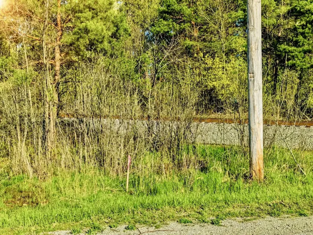 N/a National City Road Sherman Township MI 48748
