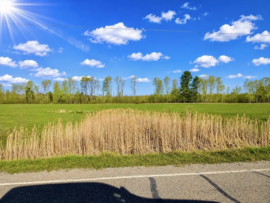 N/a National City Road Sherman Township MI 48478