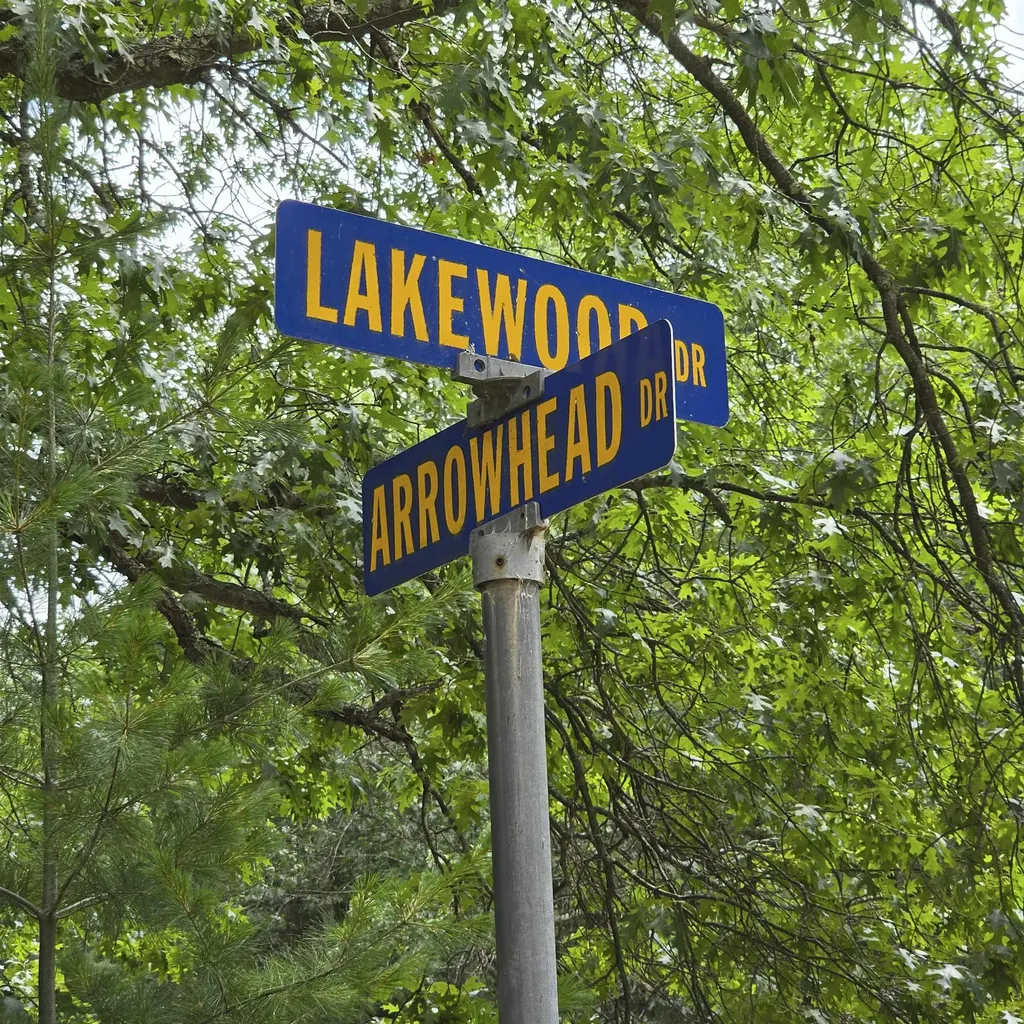 Lakewood Drive Oscoda Charter Township MI 48750