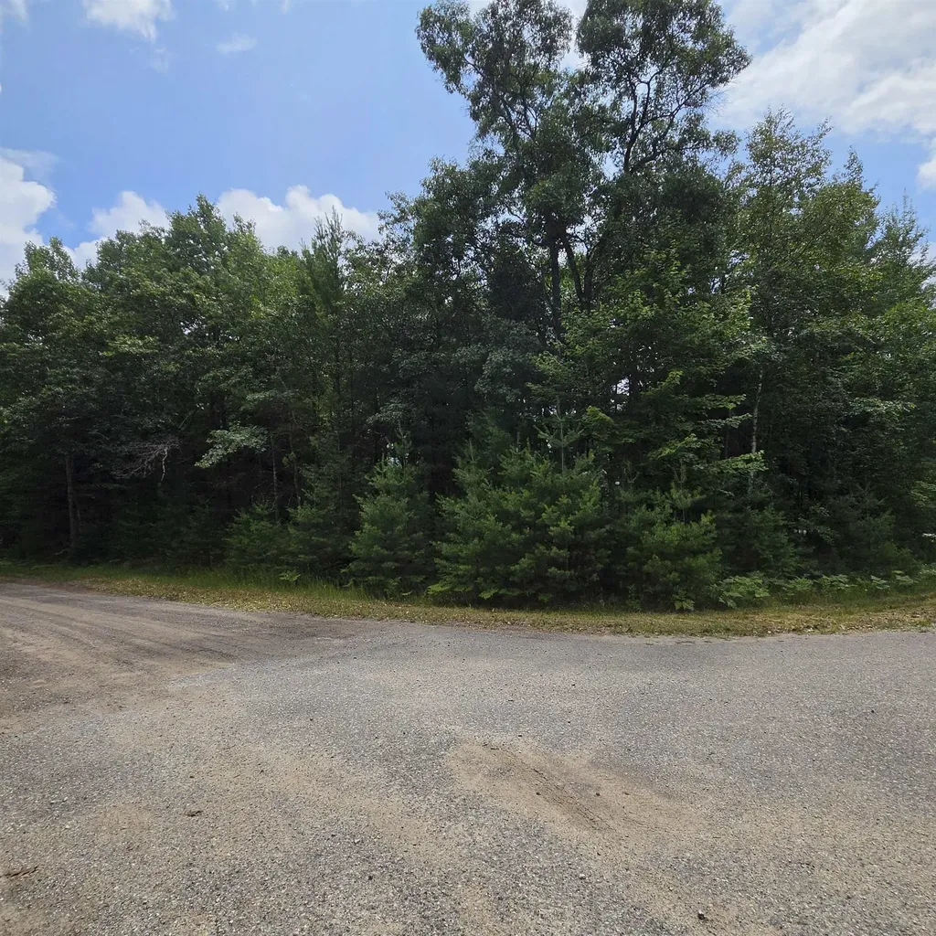 Lakewood Drive Oscoda Charter Township MI 48750