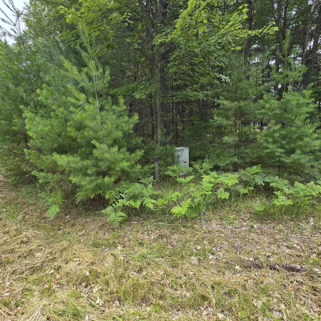 Lakewood Drive Oscoda Charter Township MI 48750