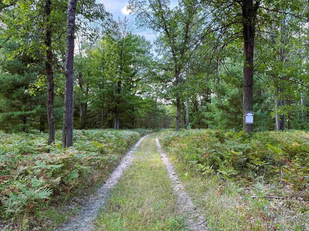 4736 Sparton Road Grant Township MI 48748