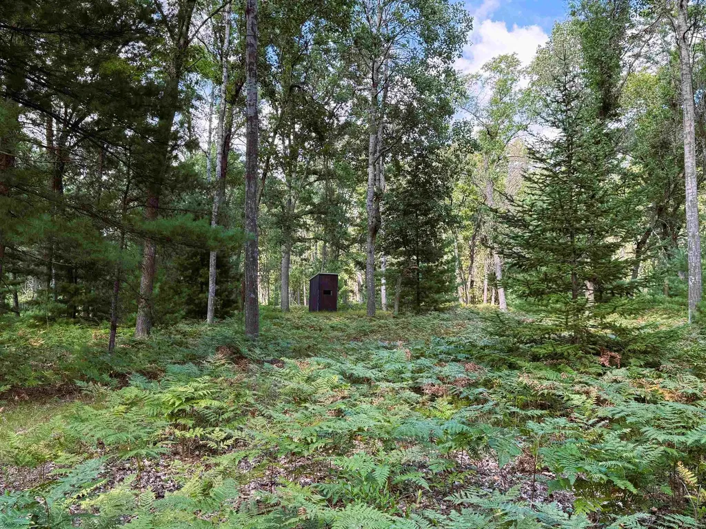 4736 Sparton Road Grant Township MI 48748