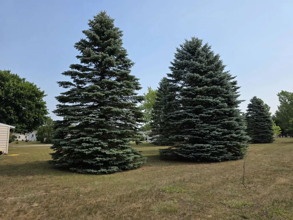 10220 Tennessee Street Oscoda Charter Township MI 48750