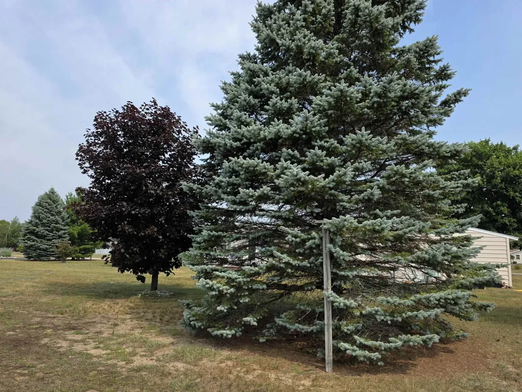 10220 Tennessee Street Oscoda Charter Township MI 48750