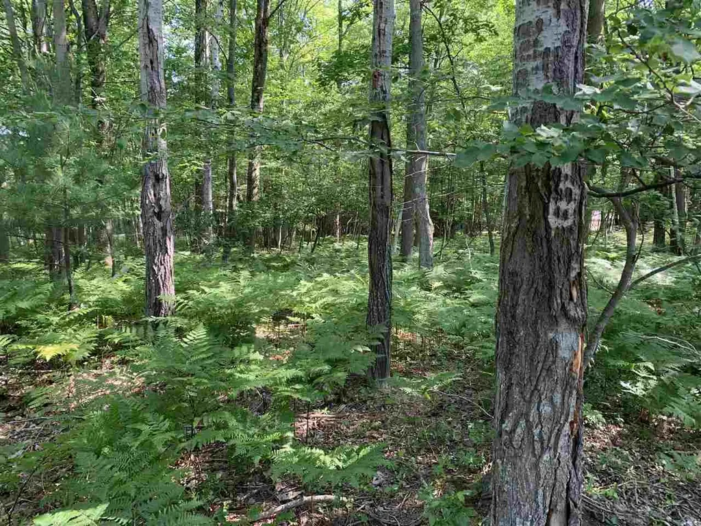 Nka Fairway Standish Township MI 48658
