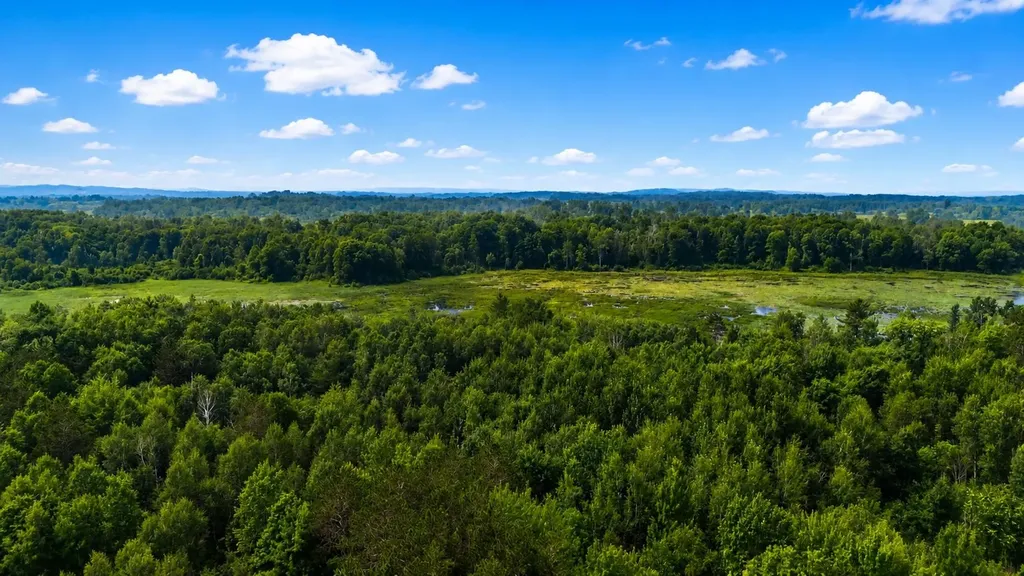 000 Owl Drive Roscommon Township MI 48629