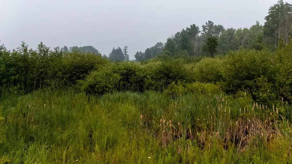 000 Owl Drive Roscommon Township MI 48629