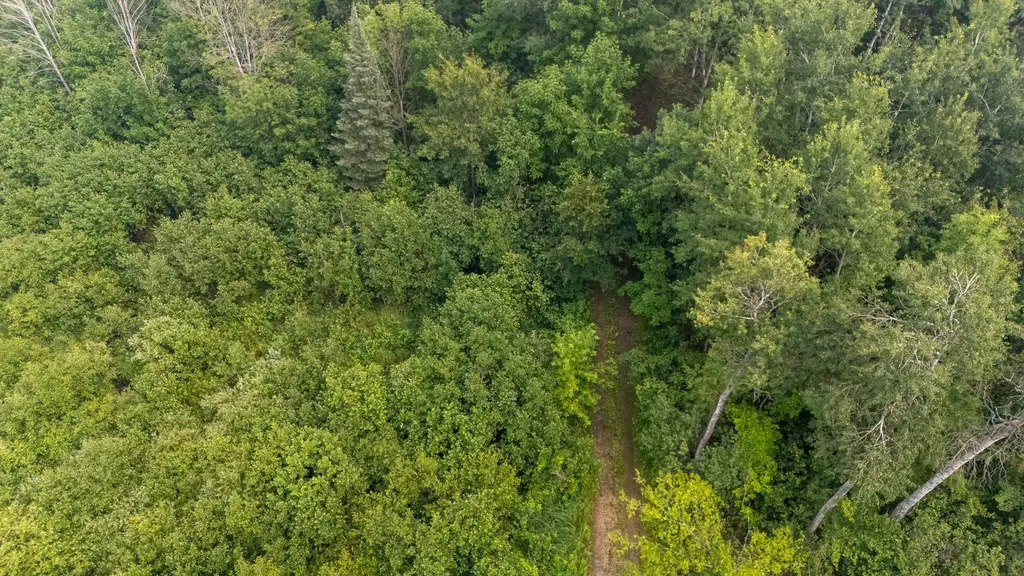 000 Owl Drive Roscommon Township MI 48629