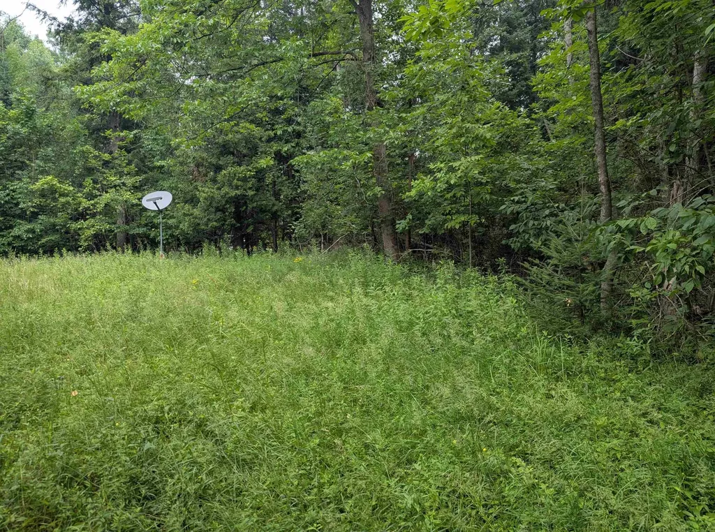 4192 Highbanks Drive Deep River Township MI 48749