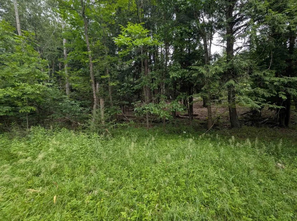 4192 Highbanks Drive Deep River Township MI 48749
