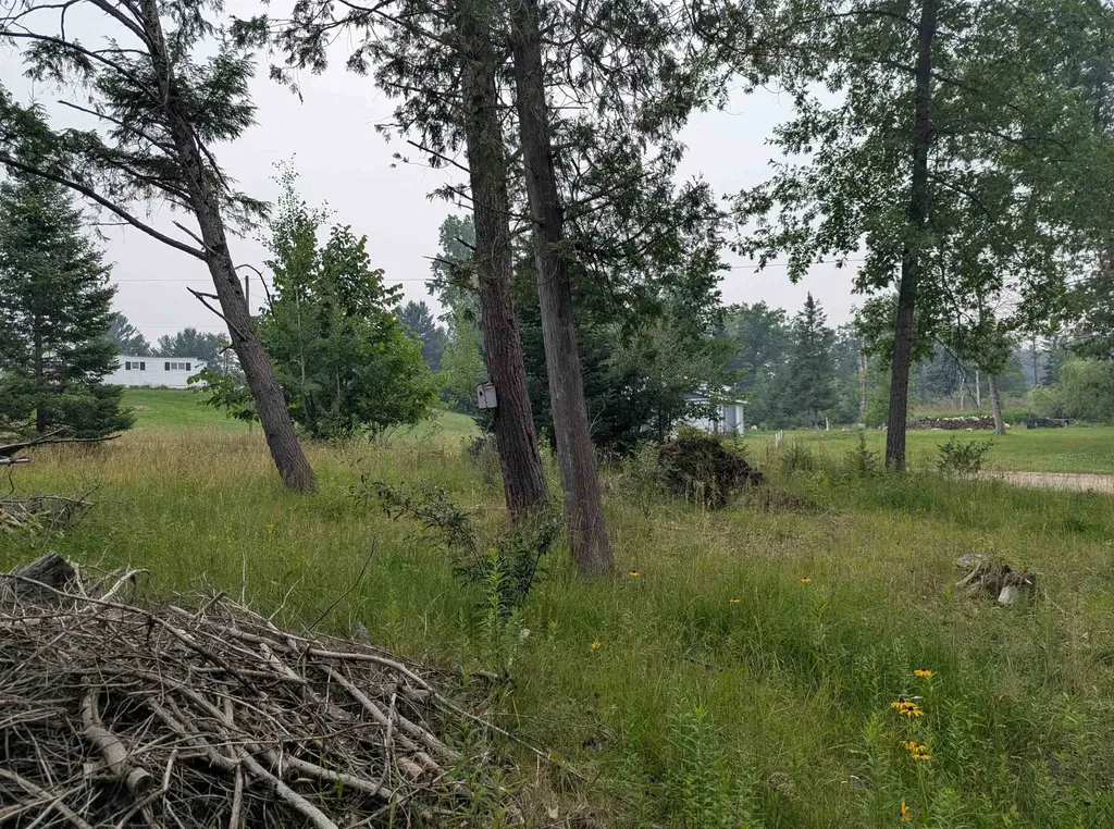 4192 Highbanks Drive Deep River Township MI 48749