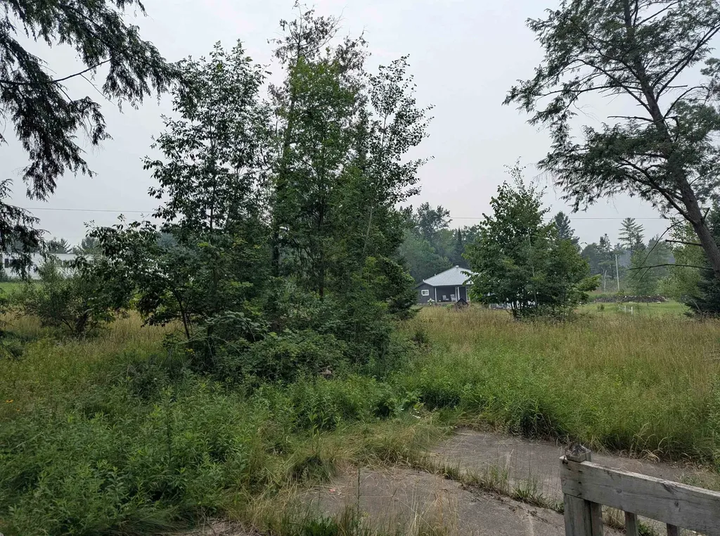 4192 Highbanks Drive Deep River Township MI 48749