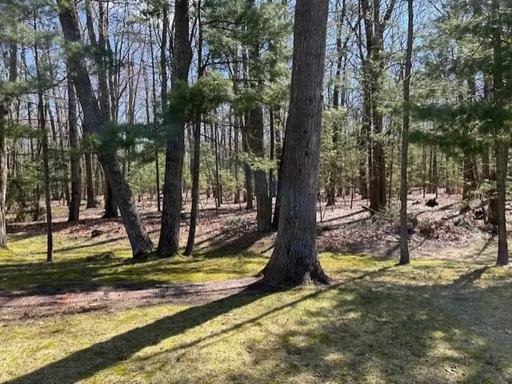 7468 E Cedar Lake Drive Oscoda Charter Township MI 48738