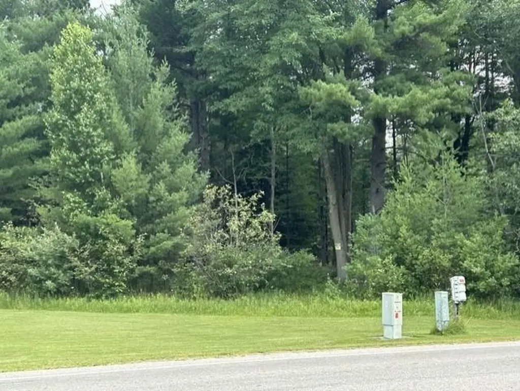 0 Wilber Road Wilber Township MI 48730