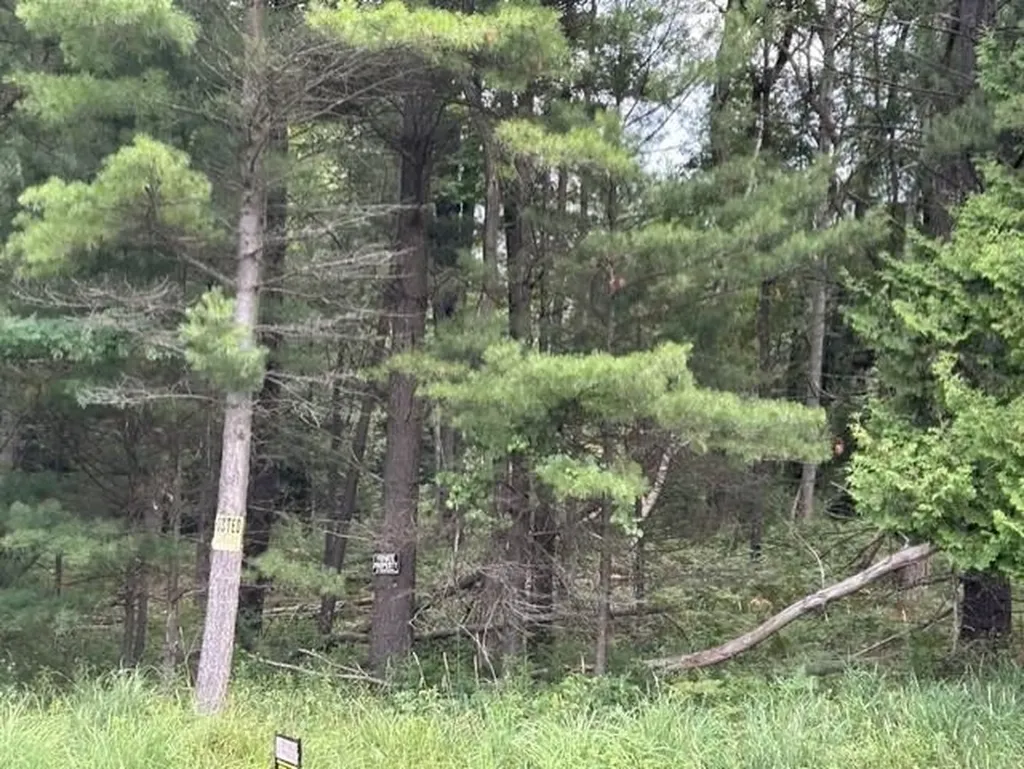 0 Wilber Road Wilber Township MI 48730