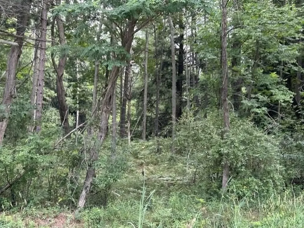 0 Wilber Road Wilber Township MI 48730
