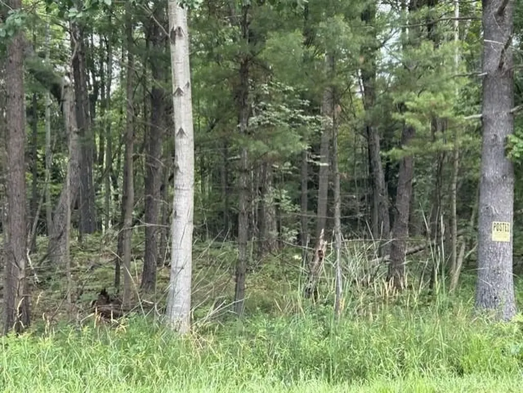0 Wilber Road Wilber Township MI 48730