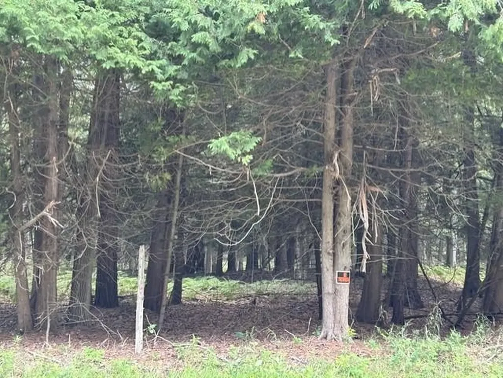 0 Wilber Road Wilber Township MI 48730