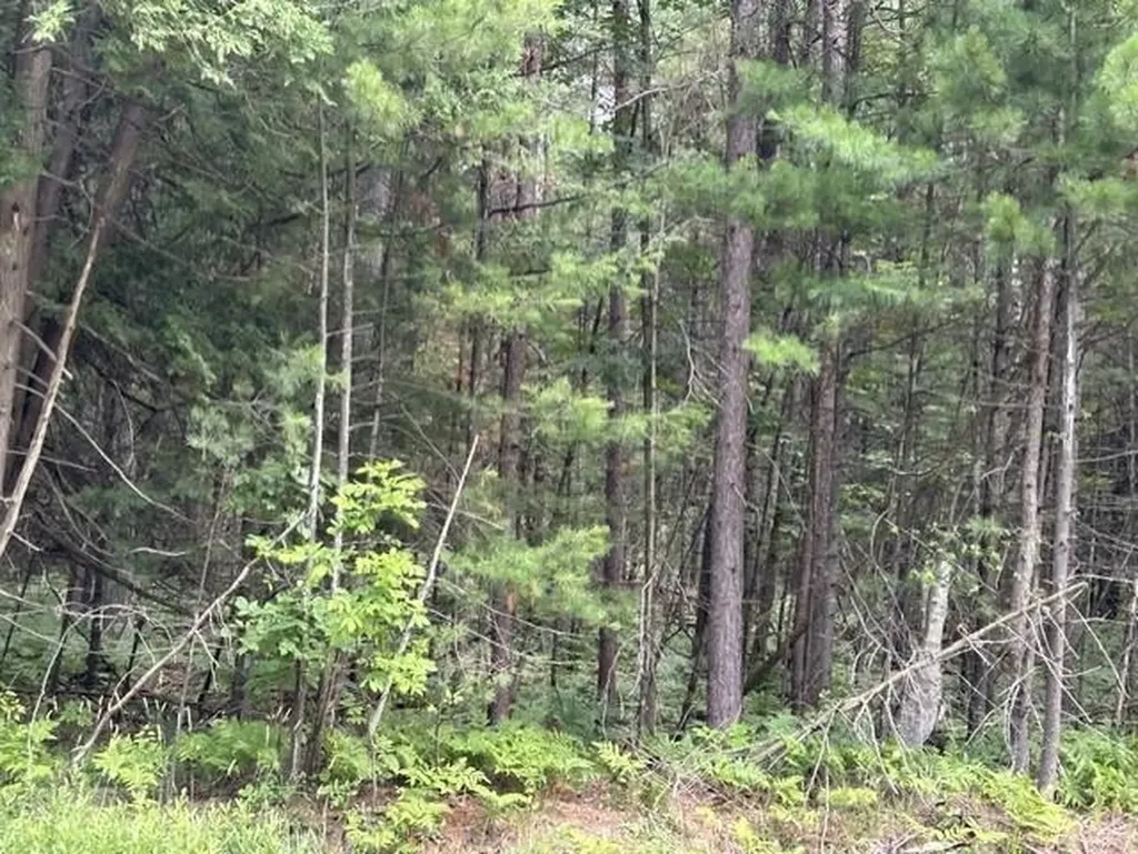 0 Wilber Road Wilber Township MI 48730