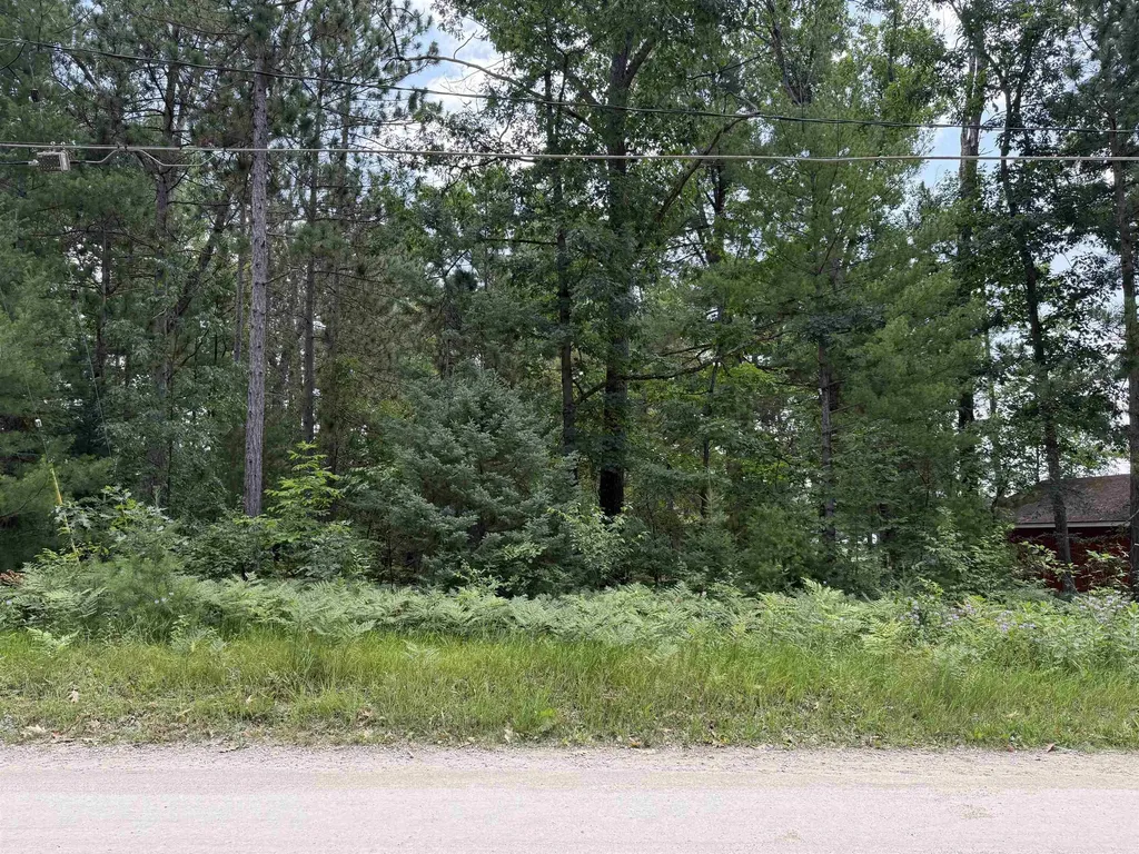 Nicole Drive Plainfield Township MI 48761