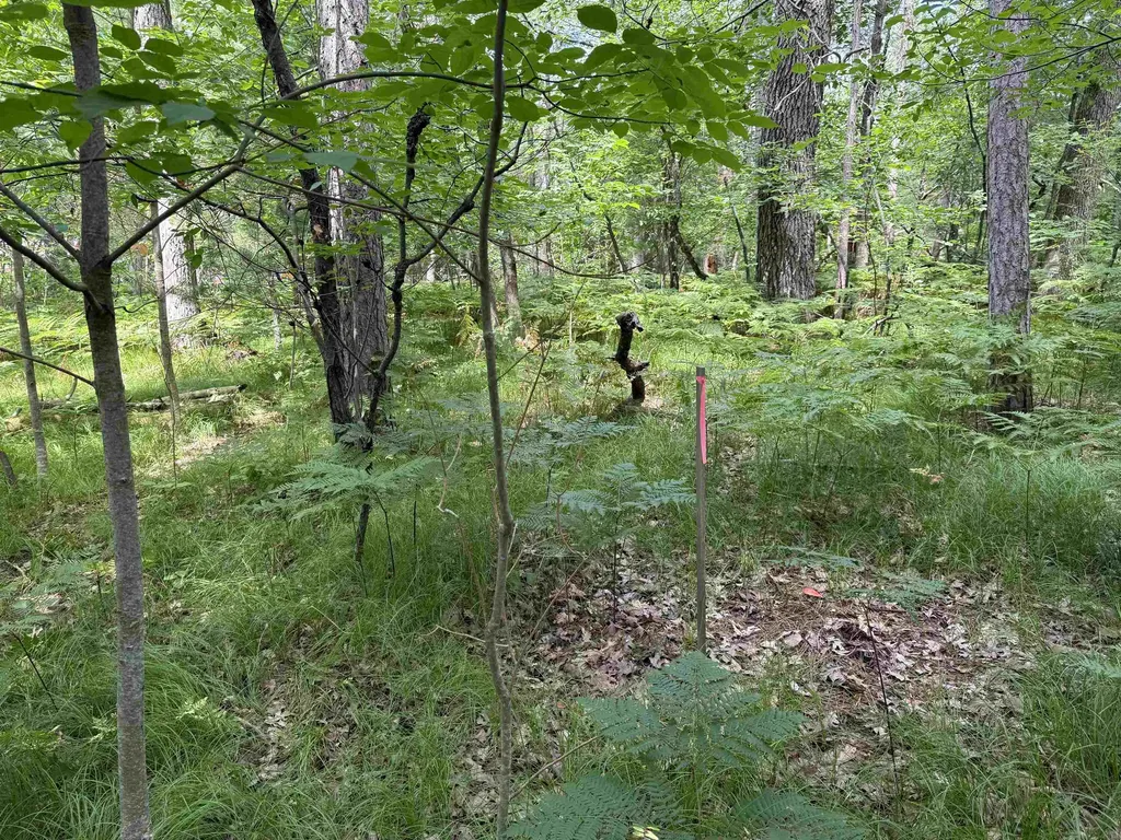 Nicole Drive Plainfield Township MI 48761