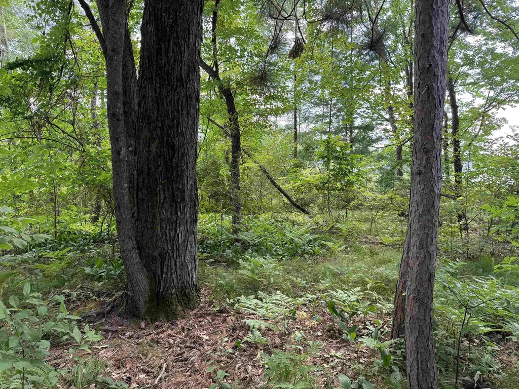 Nicole Drive Plainfield Township MI 48761