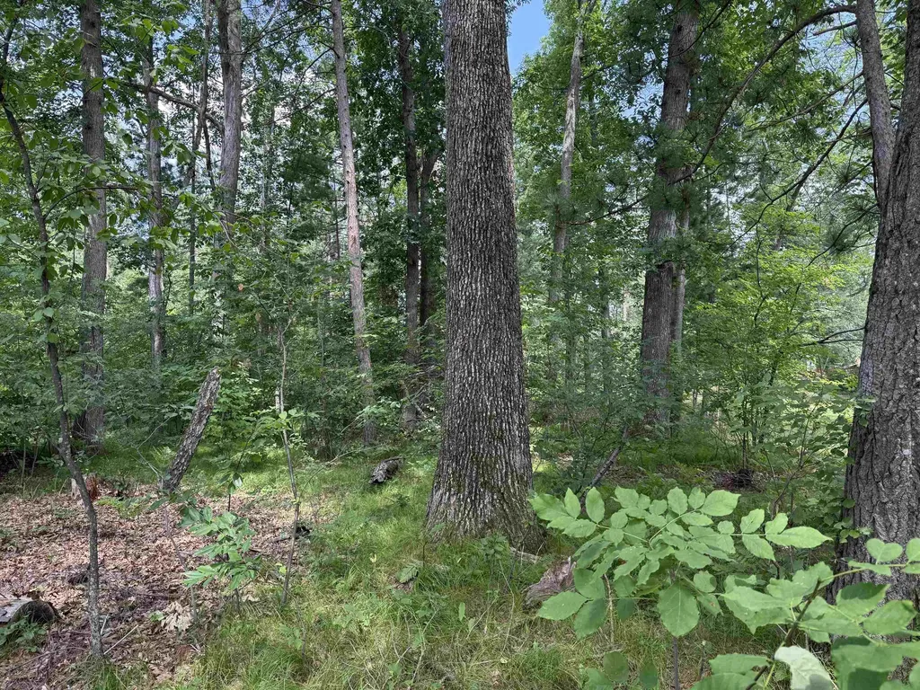 Nicole Drive Plainfield Township MI 48761