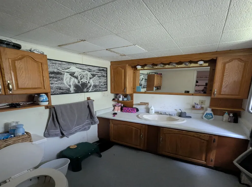 3525 East City Limits Road Standish Township MI 48658
