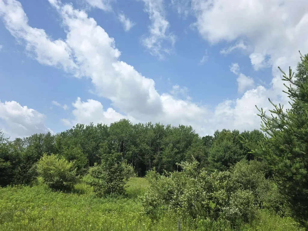 00 Sage Lake Road Hill Township MI 48635