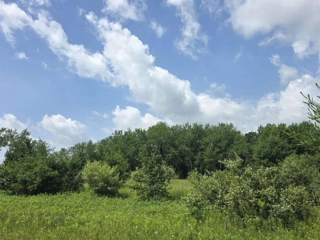 00 Sage Lake Road Hill Township MI 48635