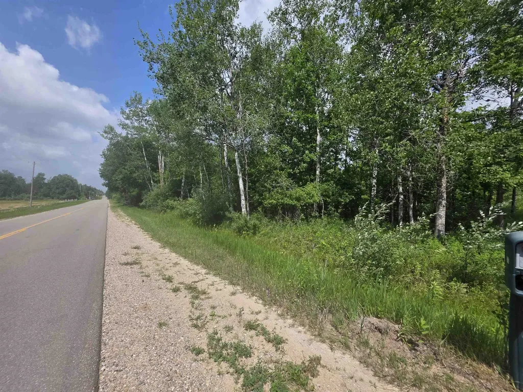 00 Sage Lake Road Hill Township MI 48635